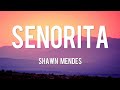 Señorita - Shawn Mendes [Lyrics] | Ed Sheeran, One Direction, Ali Gatie DEFAULT Thumbnail