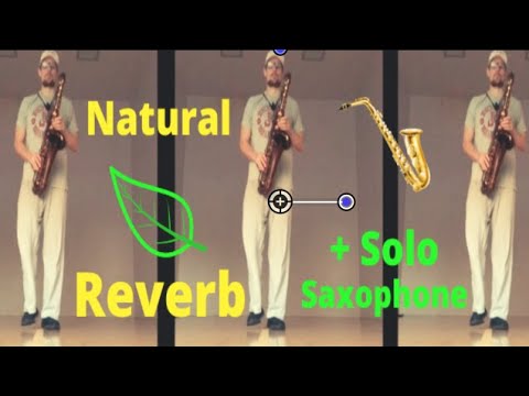 The Sound of 1,000,000 Saxophones in A Racquetball Court- 100% AMAZING Natural Reverb on a Solo Sax!