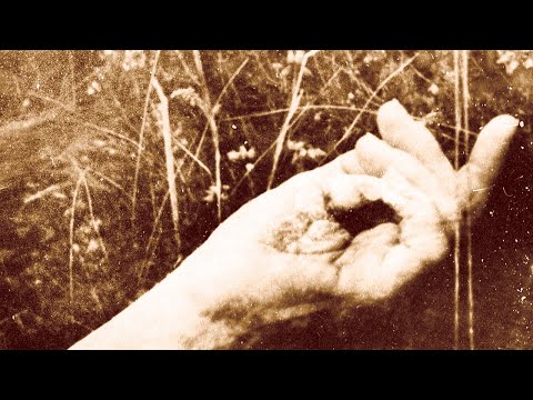 LUSTRE - Forest Wanderer (Official - Full EP 2017)