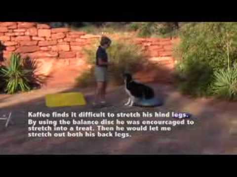 Kaffee's Iliopsoas Strain Rehab - Part 1