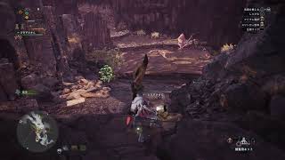 【飲み配信】mhw
