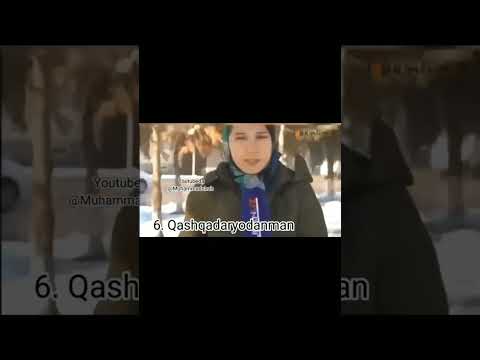 Trenddagi gaplar top 10 | eng trend bo'lgan intervyular | taniganlar like bosamiz