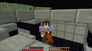【マイクラ】すてるだむのTT　09