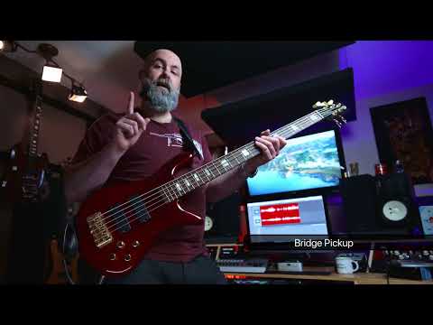 Double NFP-Special and Multicoil pickups (Wal way)