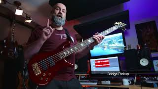Video thumbnail for Double NFP-Special and Multicoil pickups (Wal way) by LusitHand Devices