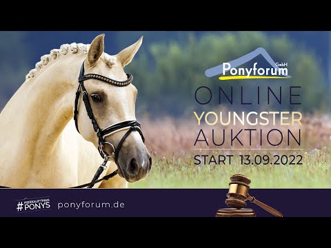 Neymar Hengst 2020 v. Neverland WE / Movie Star