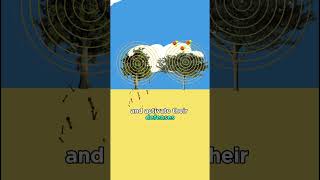 The Secret Language of Plants: VOCs Explained!