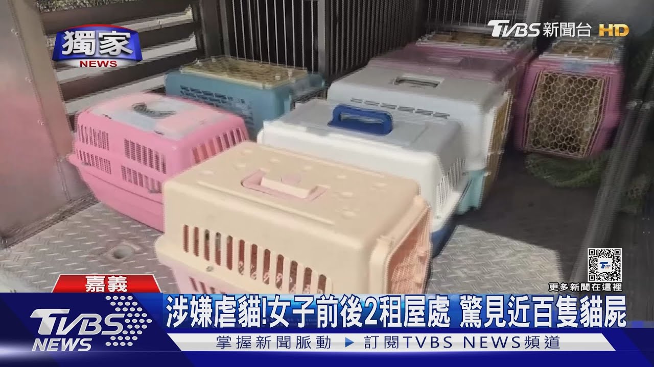 貓奴震怒！女子涉嫌虐貓　前後2租屋處驚見近百具貓屍