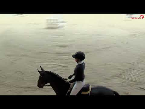 Forlee v. For Pleasure-Comme il faut-Chacco Blue, geb. 2017