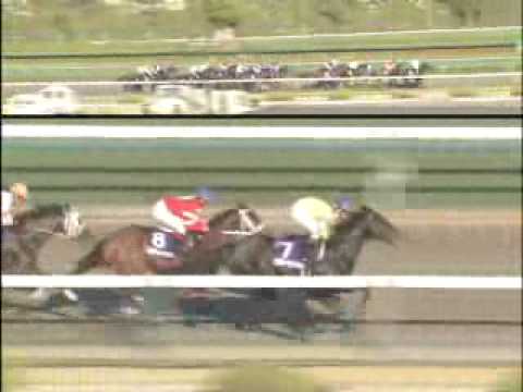 2008 Japan Cup-Dirt