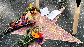 USA: Nach seinem Tod legen Trauernde Blumen an Patrick Stewarts Hollywood-Stern nieder