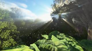 Nuno Canavarro -  Untitled  #7 (1988)