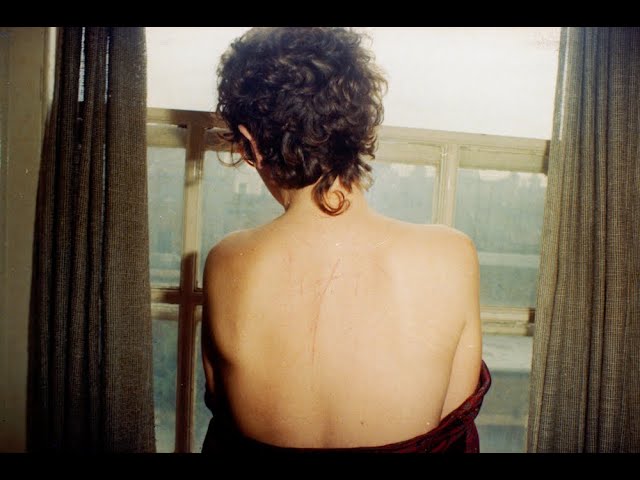 All the Beauty and the Bloodshed