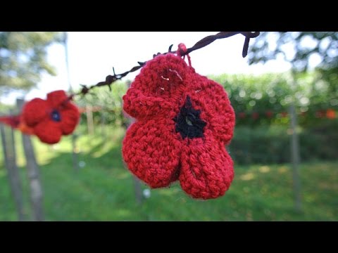 Vlaanderen Vakantieland: Onderweg naar Vlaamse Velden 3