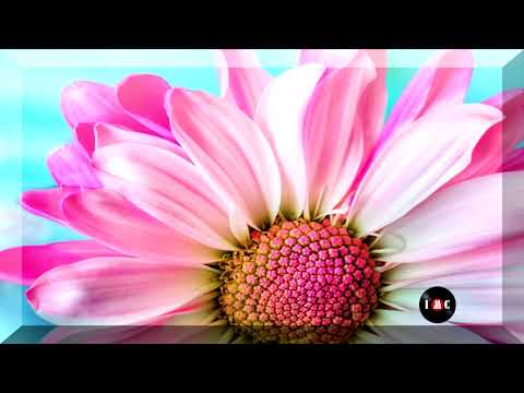 Projections Instrumental Version ~ Daniel Gunnarsson