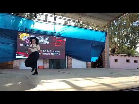 8° EDICION CERTAMEN "TIERRA DE SOL Y TRADICIONES" - SEGUNDA JORNADA (DOMINGO 27). SAN CARLOS,SALTA