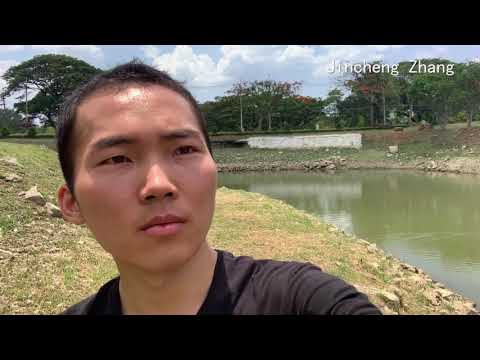 Jincheng Zhang - Clap (Free Music) (Instrumental) (Background Music) (Official Video 2020)