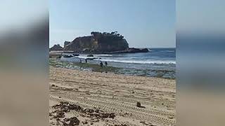 Download lagu Status wa pantai klayar mp3