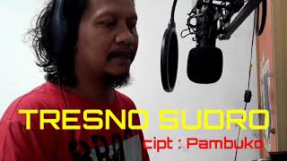 Download lagu TRESNO SUDRO  | original song mp3