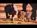 The Lion King 2019 Rhino Screen Time