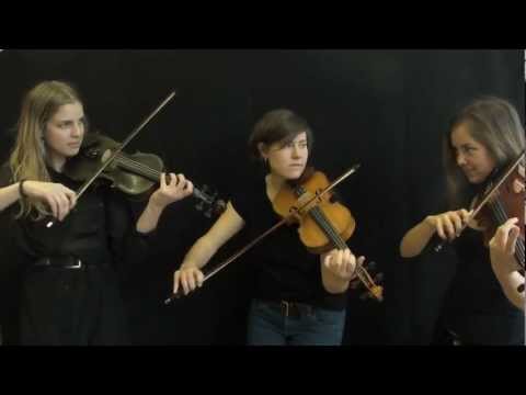 Beata Bermuda - Blind Pelle