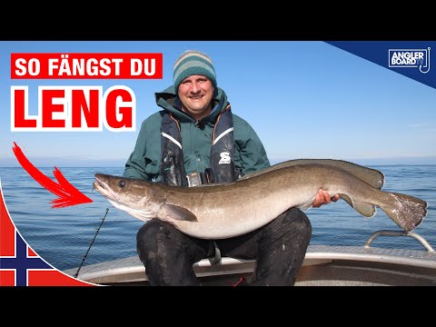 Leng angeln in Norwegen | Montage, Köder und Ausrüstung zum Meeresangeln auf große Fische
