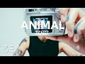 BENEE - Animal (Lyrics)