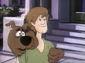 1998 Scoobert Doo Profile Those Meddeling Kids