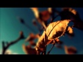 KiloWatts - Forget