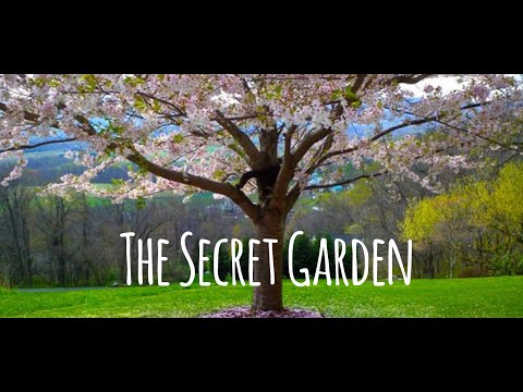 The Secret Garden (Guided Meditation)