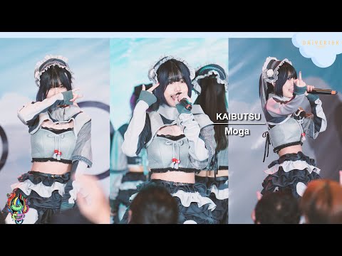 220508 [FANCAM] Moga KAIBUTSU - Muri Jinsei Kusoge / Kakumei Zenya / Nightmare @ Shiroi Sora [4K]