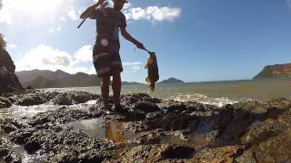 preview picture of video 'Loche au Popper, baie de Nakety, Nouvelle Calédonie'