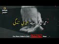 Tera Pyar Hai Meri Zindagi Nusrat Fateh Ali Khan WhatsApp Status