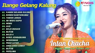 Download lagu INTAN CHACHA - ILANGE GELANG KALUNG - RONDO BANYUWANGI | KOMPILASI LANGGAM CAMPURSARI TERBARU 2023 mp3