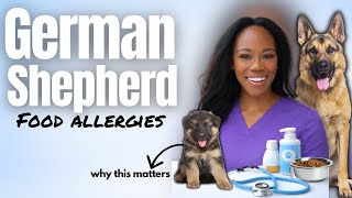 Why German Shepherds Have a Sensitive Stomach (SIMPLE Explanation)