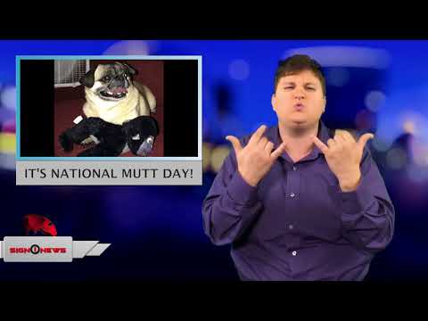It's National Mutt Day! (ASL - 7.31.18)