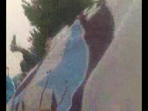 Platte kar Polanen kampioen 2