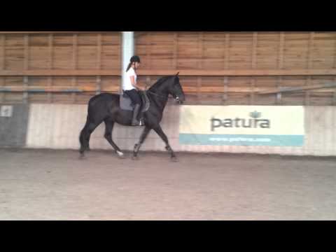 video 2012 08 15 17 45 58