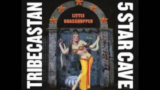 Little Grasshopper :: TriBeCaStan :: 5 Star Cave