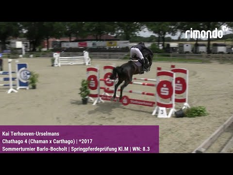 BuCha-Quali Barlo-Bocholt – Kai Terhoeven-Urselmans & Chathago 4