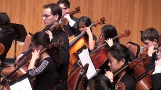 Alana's Chamber Orchestra Concert 2014 ( Tango Tsigane 