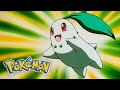 Chikorita Is An Absolute Cutie Pokémon Seasons 3 4
