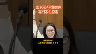【衝撃】専門家すら「これじゃない方がいい」 #参政党 #国会中継#島村かおる