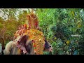 GLIMPSES OF FESTIVAL MANACAUD ATTUKAL PONGALA MAHOLSAVAM 2024 AMIGO VLOGS