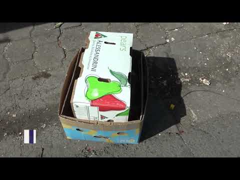 PROYECTO SOBRE BASURA ÓRGANICA EN MORAZÁN