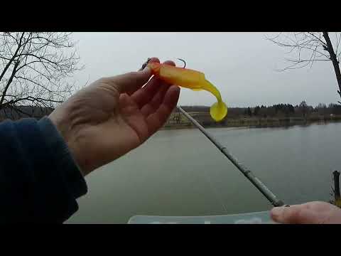 Tehnika varaličarenja jezerskog smuđa na silikonce-praktični prikaz