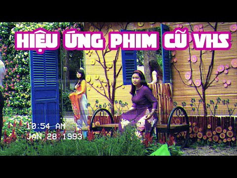 Cách Làm Video Hiệu Ứng Nhiễu VHS Phim Cũ trên điện thoại ( https://forum.vietdesigner.net › threads )