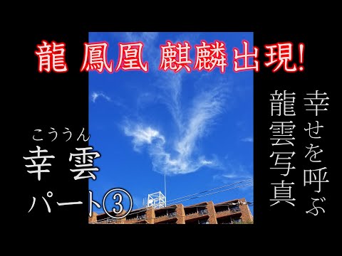 麒麟畫像