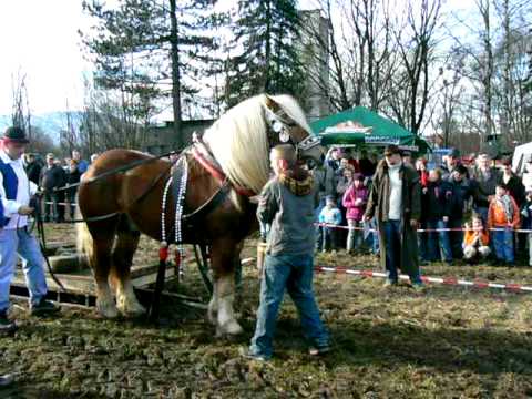 Formanské závody-areál Vojtěchov-2010-Těžký tah 750kg-Marian+Lord