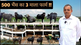 500 भैंस का 3 माला Dairy Farm || Multi Storey Dairy Farm || Hello Kisaan video